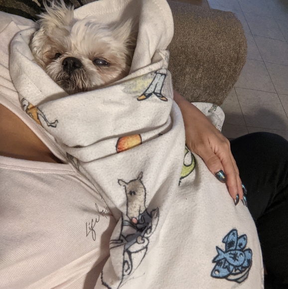 Meet your Posher, Iliana - Picture 5 of 5